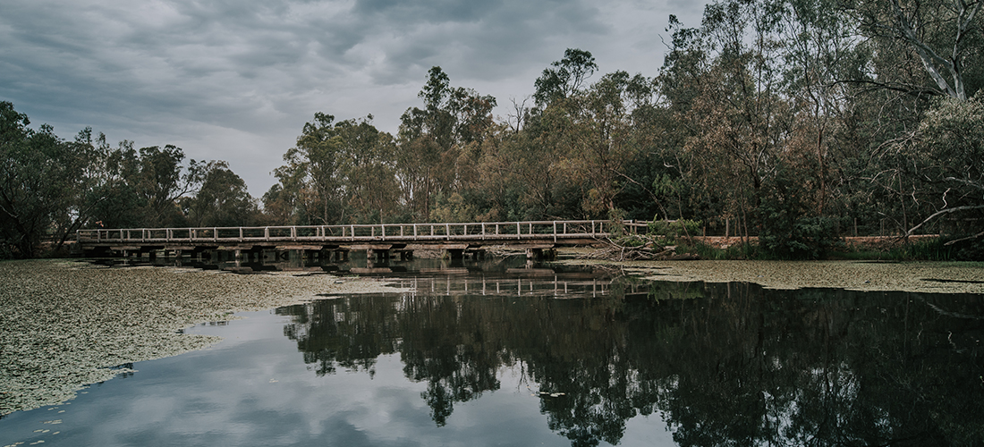 Tahbilk wetlands